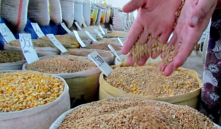 faoprognoziruetsnizheniecennaprodovolstvievdolgosrochnomperiode