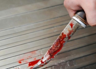 ff8703aebd9ba3727b9190c09721436d_0