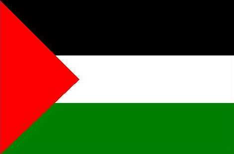 flagpalestiny