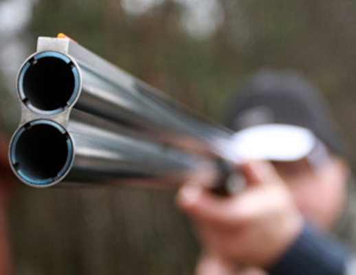 freedomhousenapervuyu_0