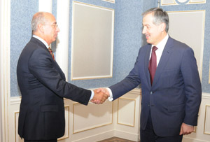 glava_mid_i_posol_avstrii