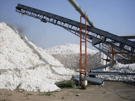 hlopokkulyab