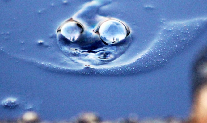 image24636395c3907e78bef6005f883025d7afae8ea4