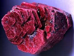 images_6