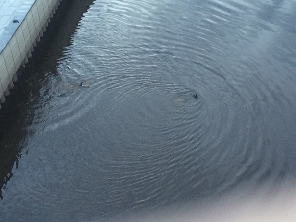 img-20150826105850-515