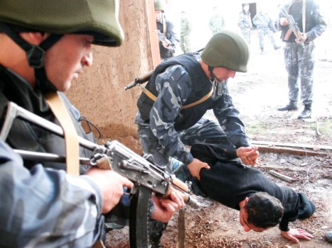 issledovanienapervuyu_0