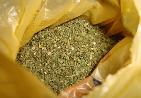 kannabis