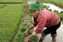 kitajskaja-kompanija