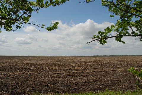 kitaycyarenduyuttadzhikskiepahotnyezemli