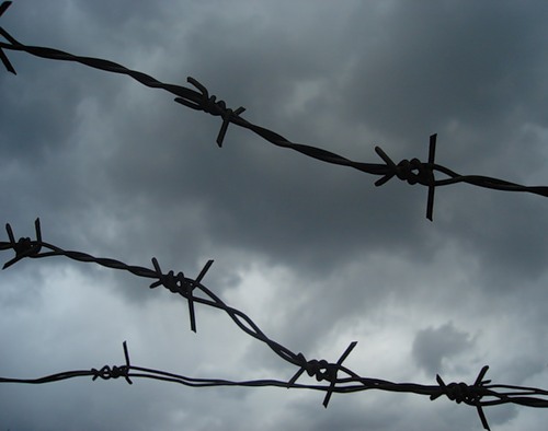 kolyuchayaprovolokavtyurme