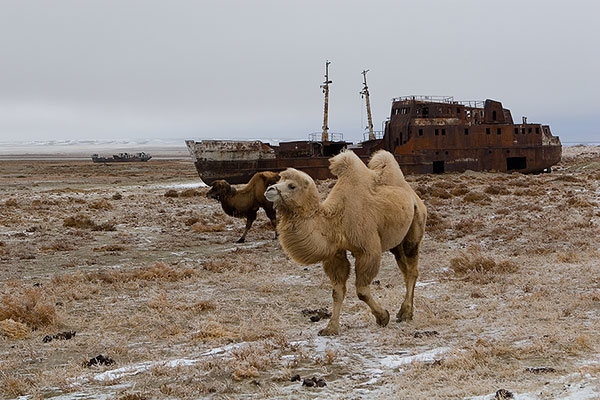 koneclednikovogoperioda-aralskoemorefotovadimmorozov