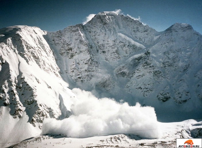 lavinysoshglivgbao_0