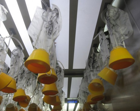 letchik-ispytatelobyasnilpoyavleniemaskinalicepassazhiramh17