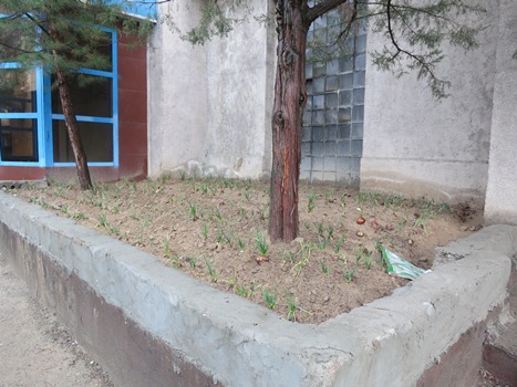 lukuzdaniyatadzhiktelekoma