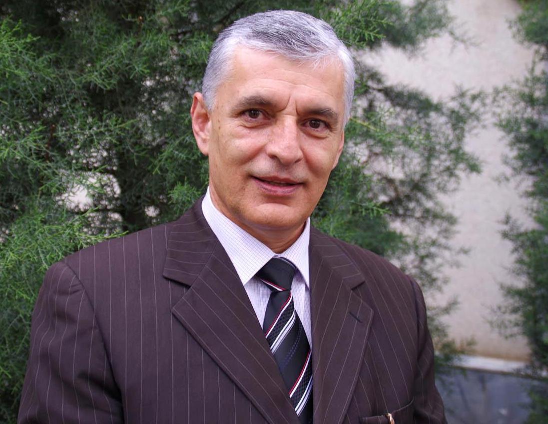 mehrali-2014