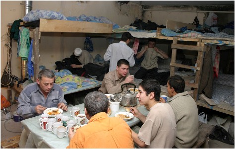migranty_1