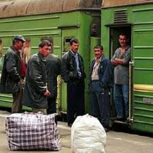 migranty_38
