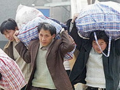 migranty_60