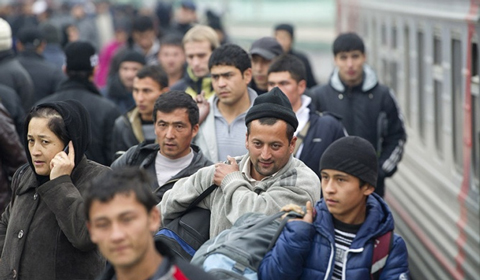 migranty_85