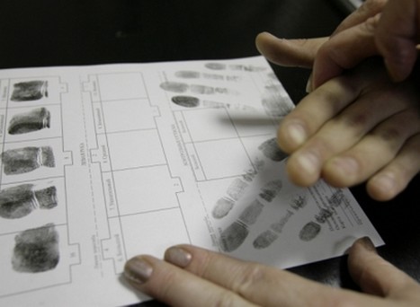 migrantyotpechtkipalcev