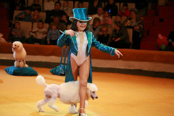 moskovskiycirkliliputovdastpredstavlenievdushanbe