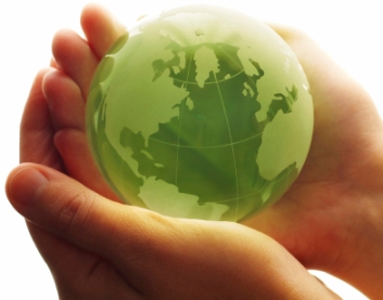 motzelenayaekonomika2013