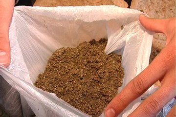 narkotikikanabisnoygruppy