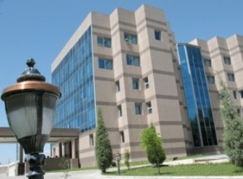 nbt_1
