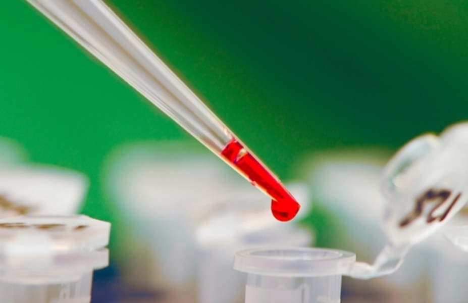 newsfederal230420135690c7ae394848a76bf8eb9c8d14e1feb4d