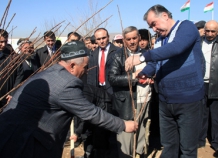 Президент ба бунёди боғи 3000-солагии Ҳисор оғоз бахшид.