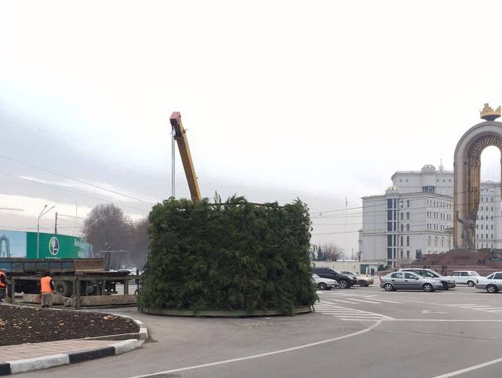 novogodnyayaelkadushanbe