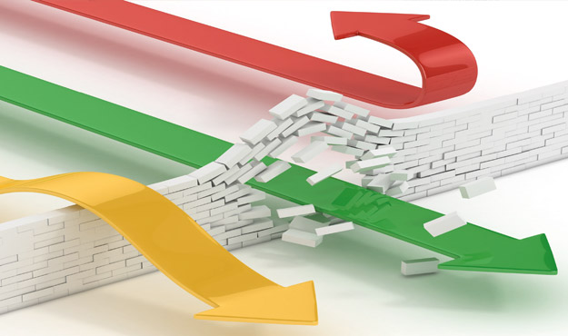 obemyvzaimnyhpryamyhinvesticiystransngupalina12