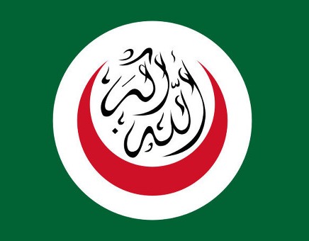 ois_0