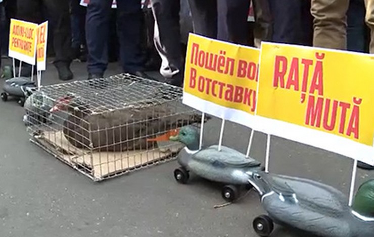 oppoziciyavydvinulautkuvprezidentymoldavii