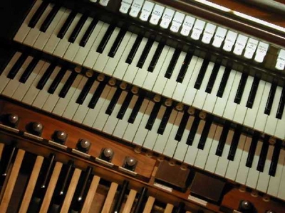 organ