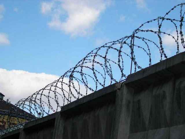 osuzhdennyenarkotrafik