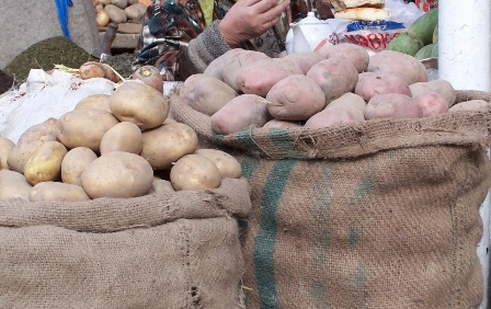 pakistanskayakartoshka_0