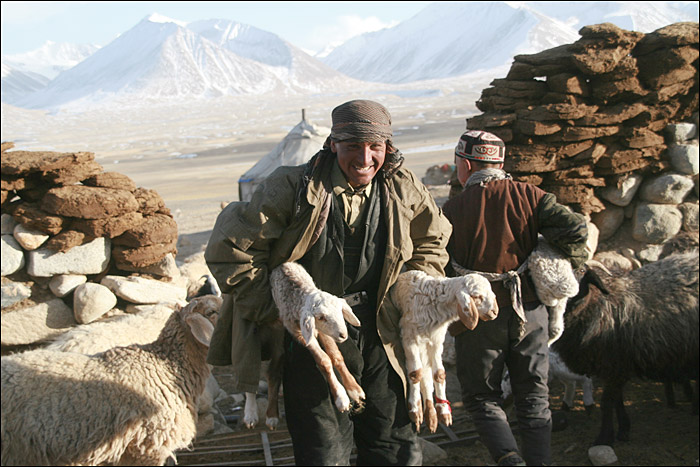 pamirskiykyrgyz