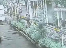 perestrelkavhoroge_0