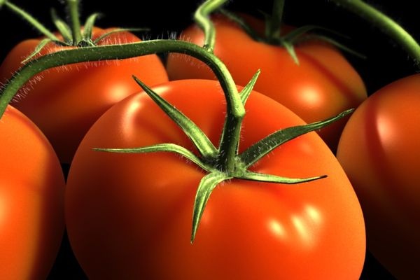 pomidornoedelozavershili_0