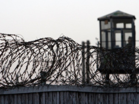 prigovorchlenamidu_0