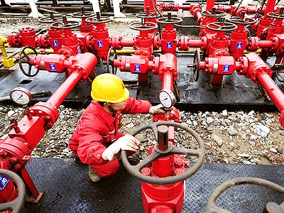 prirodnyygazdlyainfo_0