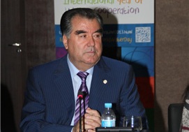 rahmonvbrazilii