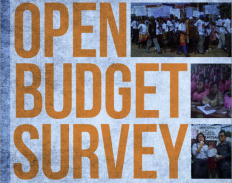 reytingprozrachnostibyudzheta