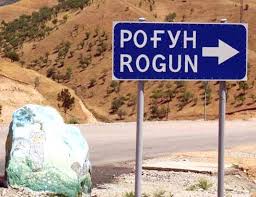 roguzhiznesposoben