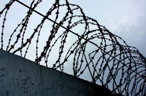 rustamtoshtemirovsnovasnyatsdolzhnosti