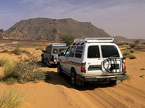 sahara