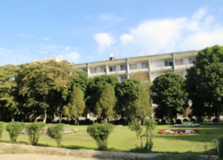 sanatoriyzumrad
