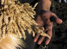 selskaya-promishlennost1