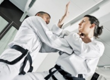 shkolavostochnyhedinoborstv_0